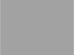 Линия гранулирования соломы MGL 100