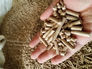 Линия гранулирования биомассы MGL 100